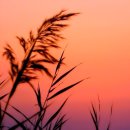 노을빛언덕 이미지