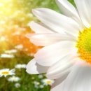 신사한의원 이미지