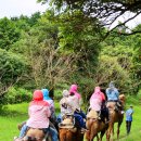 우리나라 태권도 | 특히 우리나라 태권도 화려한 격파 기술이 펼쳐지는 무대는 진짜 매력적이었어요!