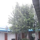 감성민박 이미지