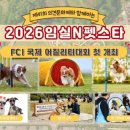 어질리티