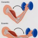 웰니스 트레이닝 스튜디오 이미지