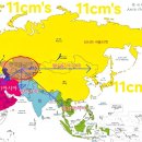 부산놈 경상남도목소리가 경북놈에게 주입시도 종목마다 시냅스(신체전기) 김동해 행세들존나게해댐 이미지