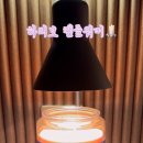 프루츠앤코 네이버블로그