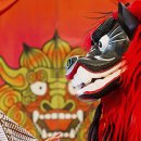 코센허브 이미지