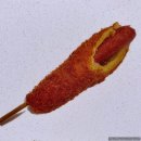 도로시찹쌀꽈배기