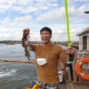 서해대교바다낚시터 이미지