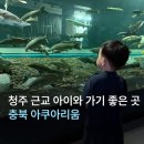 새충북어린이집 | 괴산] 청주 근교 여름에 아이와 가기 좋은 실내 충북 아쿠아리움 솔직 후기 ( 입장료 무료, 주차도 무료 )