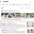 마음을 읽어주는 마음동물병원 | 동물병원홈페이지, 없어도 연 매출 4억 상승할 수 있었던 이유 (2가지 주의사항)