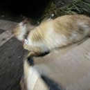 온더빅