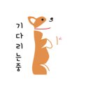 월 스트리트 애견유치원 이미지