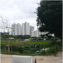 조이창의사고력수학학원 네이버블로그
