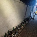 수성현대시장 | 수성구숨은맛집이자카야 로지우라 신천시장 본점후기