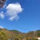 함안외암리공룡발자국 화석 이미지