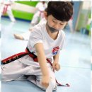 연세대 태권도 이미지