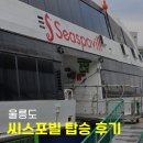 씨스포빌 | 강릉 울릉도 배편 예약 방법, 씨스포빌 2층 탑승 후기