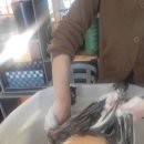 열린2호점 | 일산미용실 아이디헤어 웨스턴2호점 프리미엄 크리닉 후기