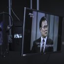 O&YOUNG 코리아헤럴드