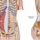 짐엑스 방이역점 이미지