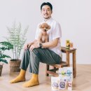윌리스빌