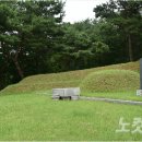 묘 이미지
