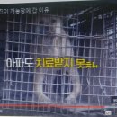 공범농장 이미지