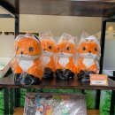 국립공원야생생물보전원 중부보전센터 이미지