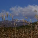 국제종합카정비 이미지