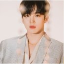 하니즈 일간스포츠