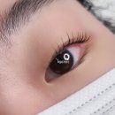비비래쉬 이미지