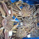 가락시장역 2번출구 이미지