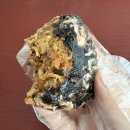 태평목욕탕 | 250921 대전여행2일차. 태평소국밥, 계룡스파텔대온천탕, 성심당, 냄비짬뽕