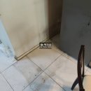 대구집정리 | 대구가정폐기물 집정리 후기 l 생활폐기물 정리와 공간 정돈까지 진행한 현장 이야기