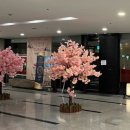 운산빌딩 앞 네이버블로그