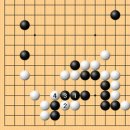 월드바둑교육