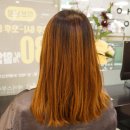 대전머리잘하는곳 추천 박승철헤어스투디오 대전둔산이마트점