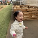 나은농장 | 용인 동물농장체험, 헤븐온어스,동물먹이주기,버섯따기,고구마캐기 후기