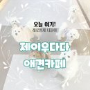 제이 애견 호텔 이미지