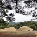 11-04 [우리강산 그곳에는 제2탄] '경주' - 배동 삼릉, 경애왕릉, 더 아트 펜션, 맷돌순두부 이미지