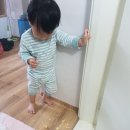 연세김치과 이미지