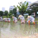 울산광역시시청 경상일보