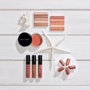 브라운스프링 이미지