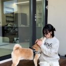 안림가 | 홍천에 위치한 신상 애견동반 독채 펜션, &#39;안림가&#39; 숙박 후기