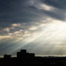 햇살이네 이미지