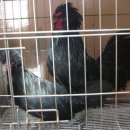 양정1동-15 이미지