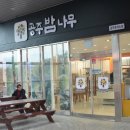 공주밤나무 이미지