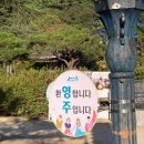 백곰사 | 10월 ~셋째 주 일상 모아 모아 🫧