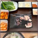 양지위생 이미지