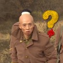 일산효한의원 | 일산 백석 닥터스톤 면역센터 천조석 3개월 후기 ( 이게 대체 왜...? )