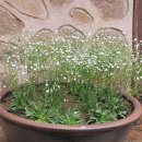 충현박물관 이미지